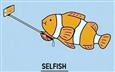 The Selfie Fish