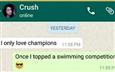 Swimming Champion