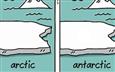 Arctic Vs Ant-arctic