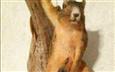 Taxidermy Fail - Mounted Squirrel Holding a Nut 