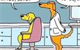 Doggie Optometrist