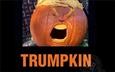 Trumpkin - Orange and Hollow