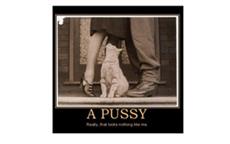 Pussy-Cat