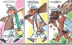 Evolution of AAP