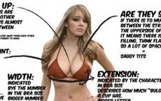 Boobies Guide