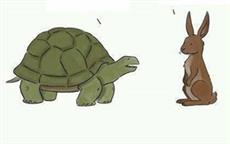 Tortoise vs. Hare !!!