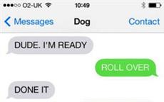 Doggy Chat!