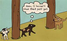 Dog Social Media