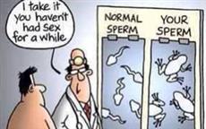 Sperms or Tadpoles?