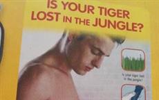 Is Your Tiger Lost?