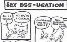 Sex Egg-ucation