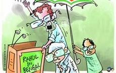 Rahul's Rally