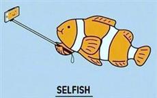 The Selfie Fish