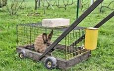 Eco-Friendly Lawn Mower