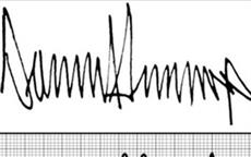 Trump's Signature