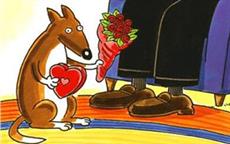 How Pet Dogs Celebrate Valentine's Day