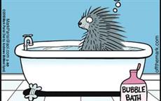 Porcupine Taking Bubble Bath