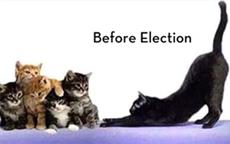 Before and After Elections