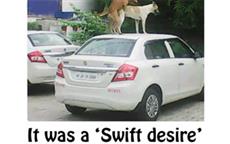 Swift Desire