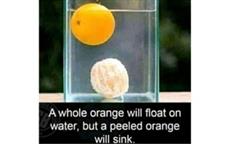 Floating and Sinking Orange