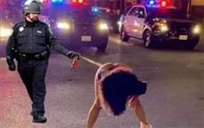 Don't Show Your Ass To a Cop