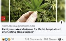 Ganja Sabzi!