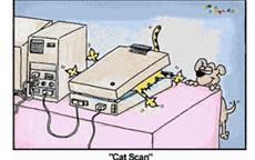 Cat scan !