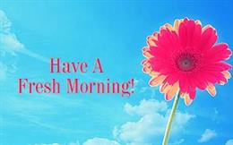 Have a Fresh Morning!