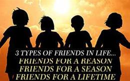 Friends in Life