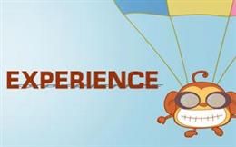 Experience