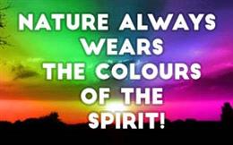 Colors of The Spirit 