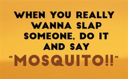 Mosquito