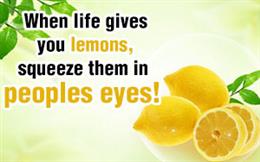 When Life Gives You Lemons...