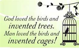 Birds and Cages