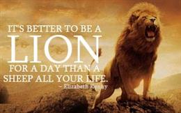 Be A Lion!