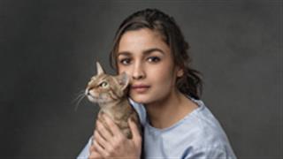 Alia Bhatt Champions The Welfare Of Street Cats and Dogs