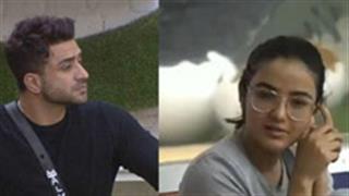 Bigg Boss 14: Aly Goni fights for BFF Jasmin Bhasin!