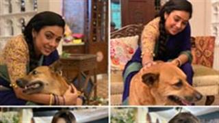 On the set of Anupamaa the four legged furry babies are the biggest stress-busters!