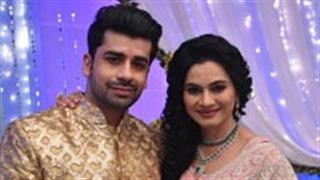 Rakhi plans to get Paritosh on her side, will she be successful?