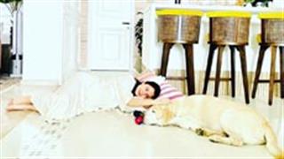 Mommy-to-be Anushka Sharma posts a cute pic with her pet, says 'Serial chillers in the house'!