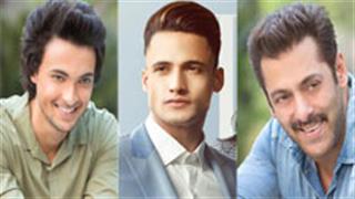 आयुष शर्मा के बाद सलमान की इस फिल्म में दिख सकते हैं असिम रिआज़!