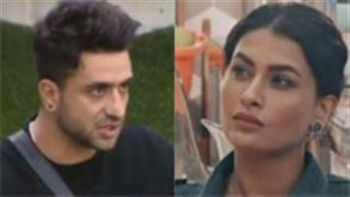 Bigg Boss 14: Aly Goni reveals Pavitra's game in front of the contestant, Gauahar Khan thanks him for speaking up!