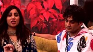 Bigg Boss 14, December 14: Vikas Gupta evicted after an ugly spat with Arshi Khan!