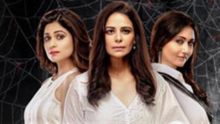 Black Widows Trailer: A dark comedy that revolves around 3 murders!