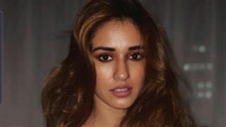 Disha Patani: Fastest 40 million followers' milestone in the shortest span of screen time