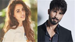 'योद्धा' में शाहिद कपूर के साथ दिखेंगी दिशा पाटनी?