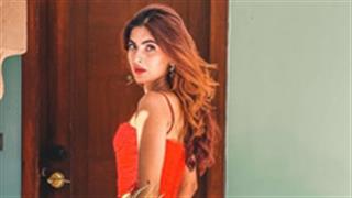Karishma Sharma expresses gratitude for the time at home due to the lockdown