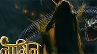 Ekta Kapoor announces the new 'Naagin', find out who she is!