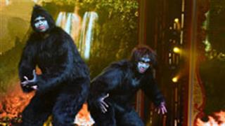 Babita Phogat and Vivek Suhag bring out a social message in their Nach Baliye 9 act; become gorillas being hunted in the jungle