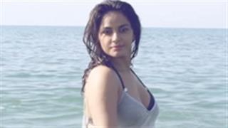 Watch the captivating Neetu Chandra in Rahat Fateh Ali Khan's Banjarey!
